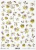 flores, clematis, pensamientos, flores de campo, pequeños elementos*Blumen, Clematis, Stiefmütterchen, Feldblumen, kleine Elemente*цветы, клематис, анютины глазки, полевые цветы, маленькие элементы